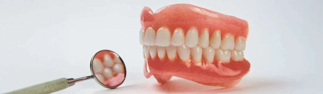 Dentist Bangor ME A Pair of Dentures On Display Restorative Dentistry A Pair of Dentures On Display Restorative Dentistry